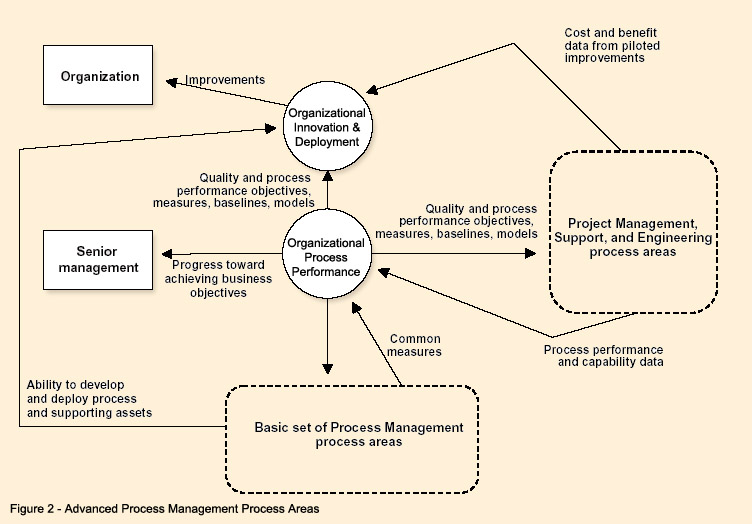 Figure 2 - Advanced Process Management Process Areas