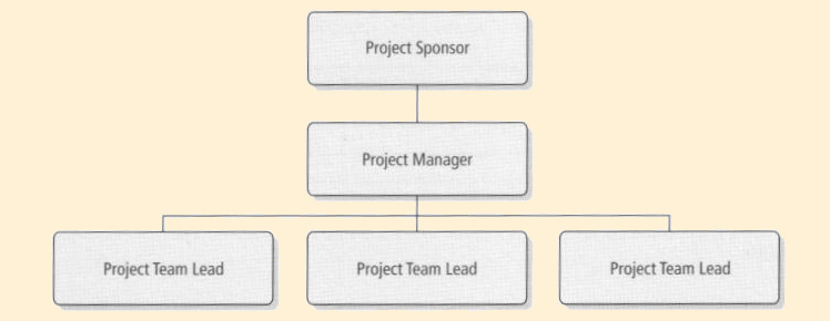 Project Structure and Key Roles