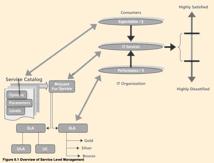 Figure 8.1 - Overview of Service Level Management
