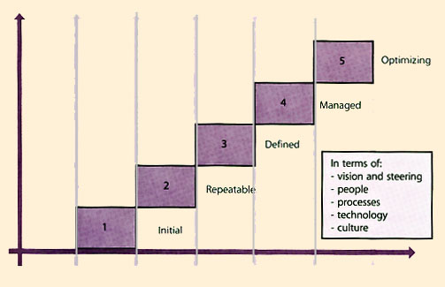 Figure H. 1 Process maturity framework