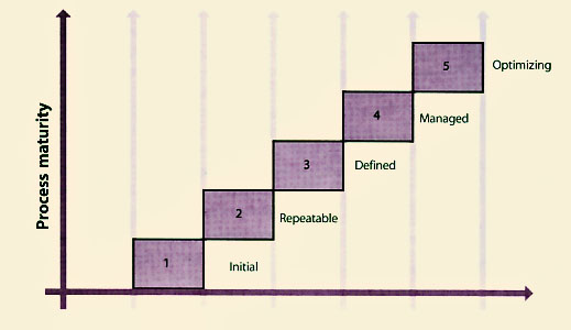 Figure 8.3 Process maturity framework
