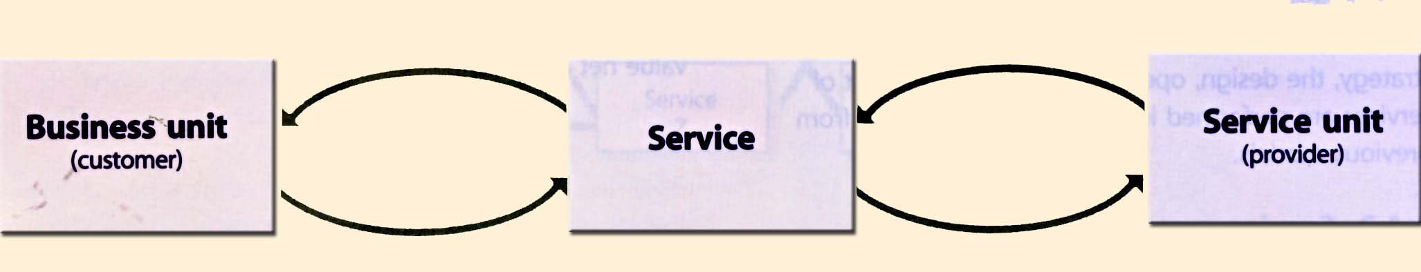 Figure 3.20 Unit of analysis for value nets in service management