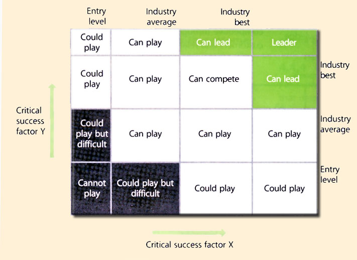 Figure 4.23 Critical success fact and competitive positions in playing fields