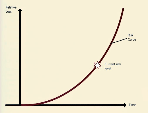 Figure 4.35 Example risk profile