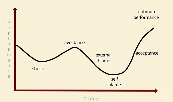 Figure 5.4 The emotional cycle of change