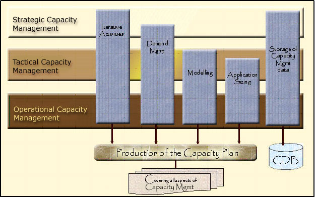 Capacity Mgmt activities according to organizational views
